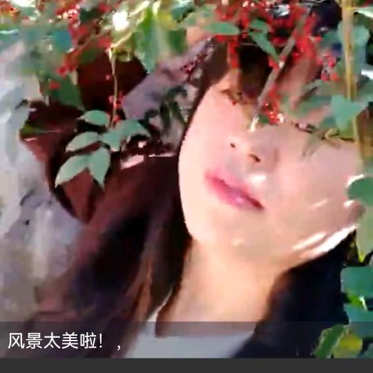 真诚