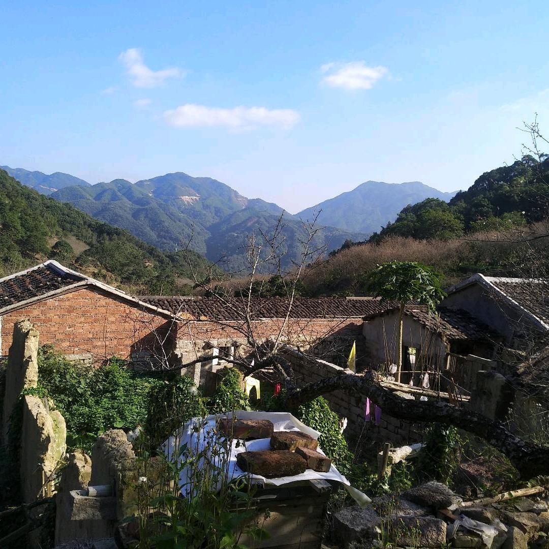 火鸡面。钵仔糕，珍珠奶茶。酸梅汤。双皮奶