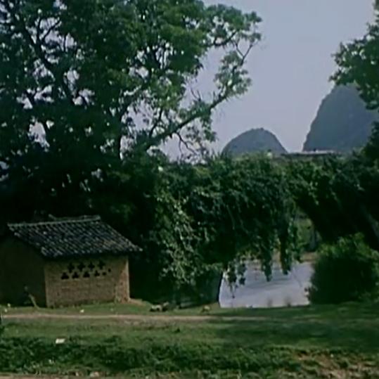 畅游桂林山水