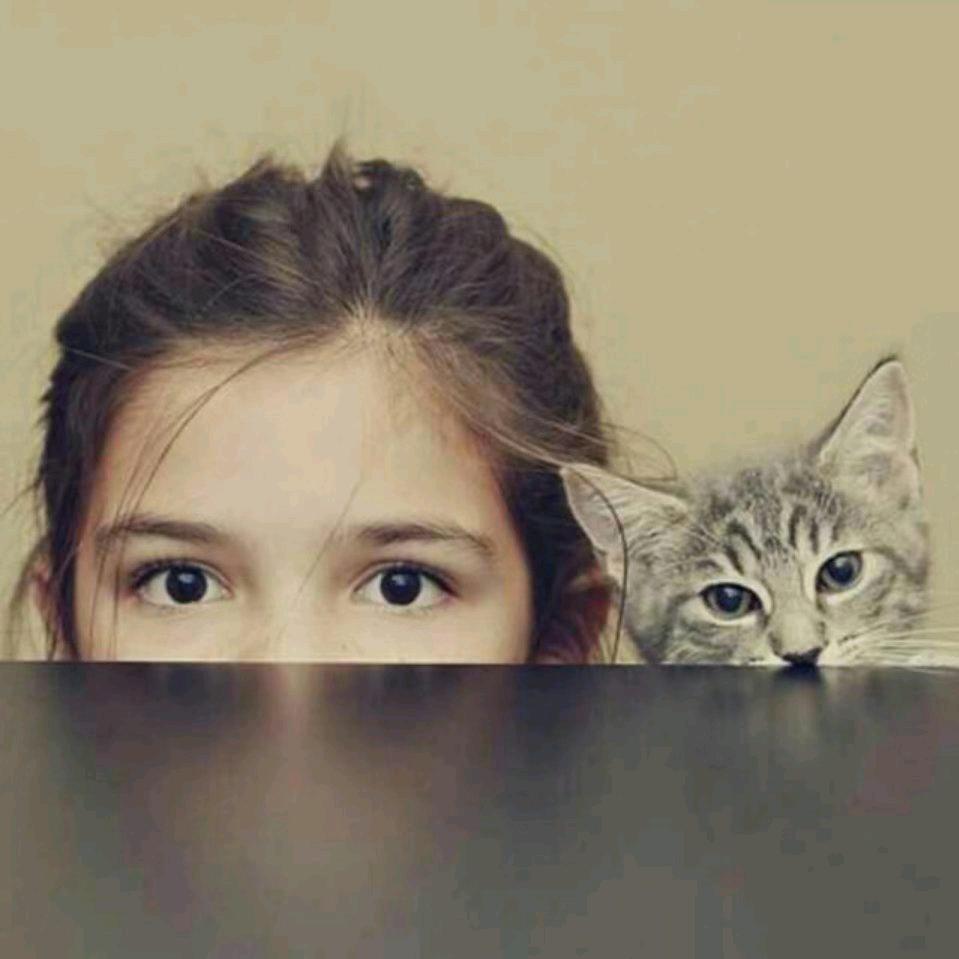 a 刘甜甜 ''♓️(瘦身版，冲冲冲)