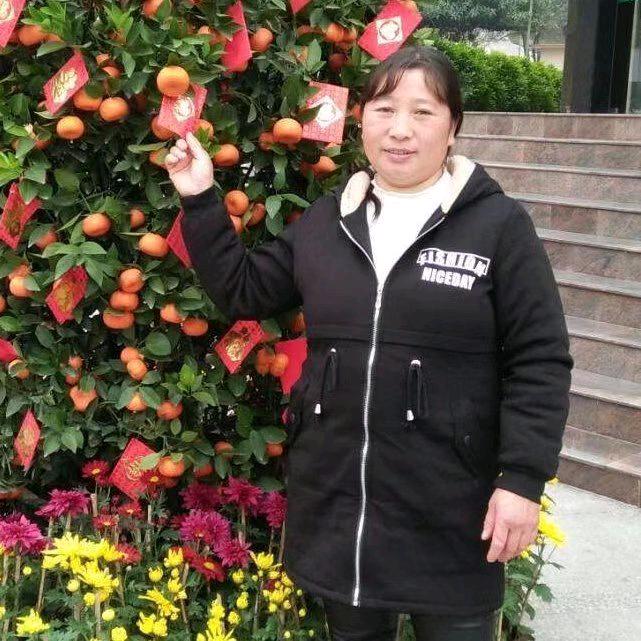 陈天慧