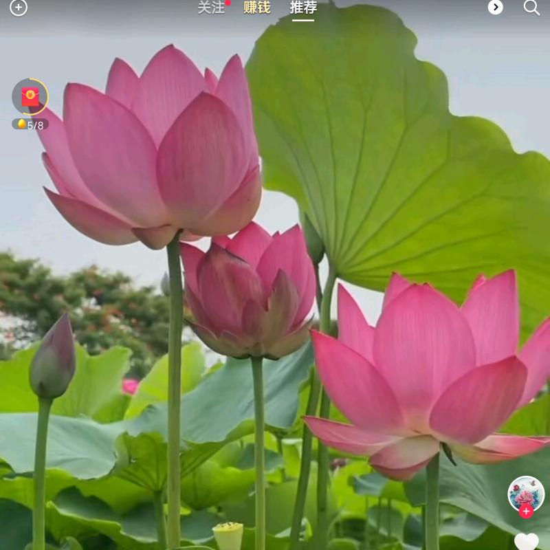 清风徐来^0^