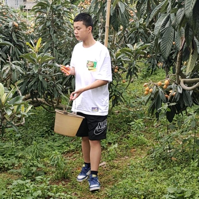 梅珍～湖北恩施土特产广东省中山市港口店