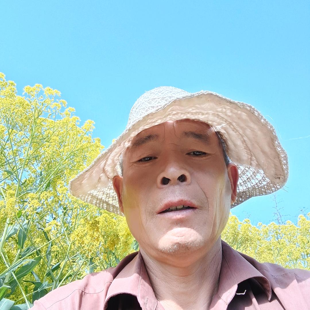 明天太好