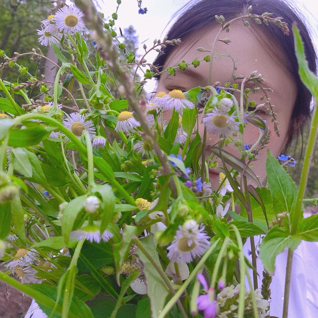 蓝 桉🌸