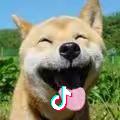小黑joker