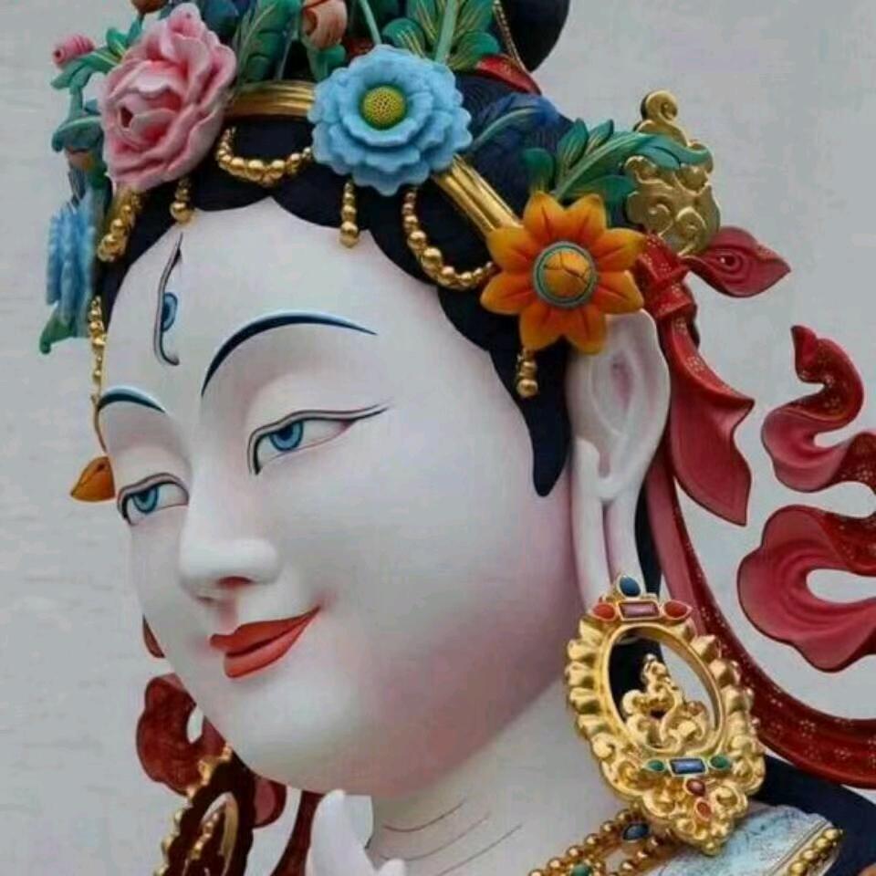 求藏