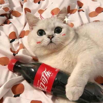 幼林🍉