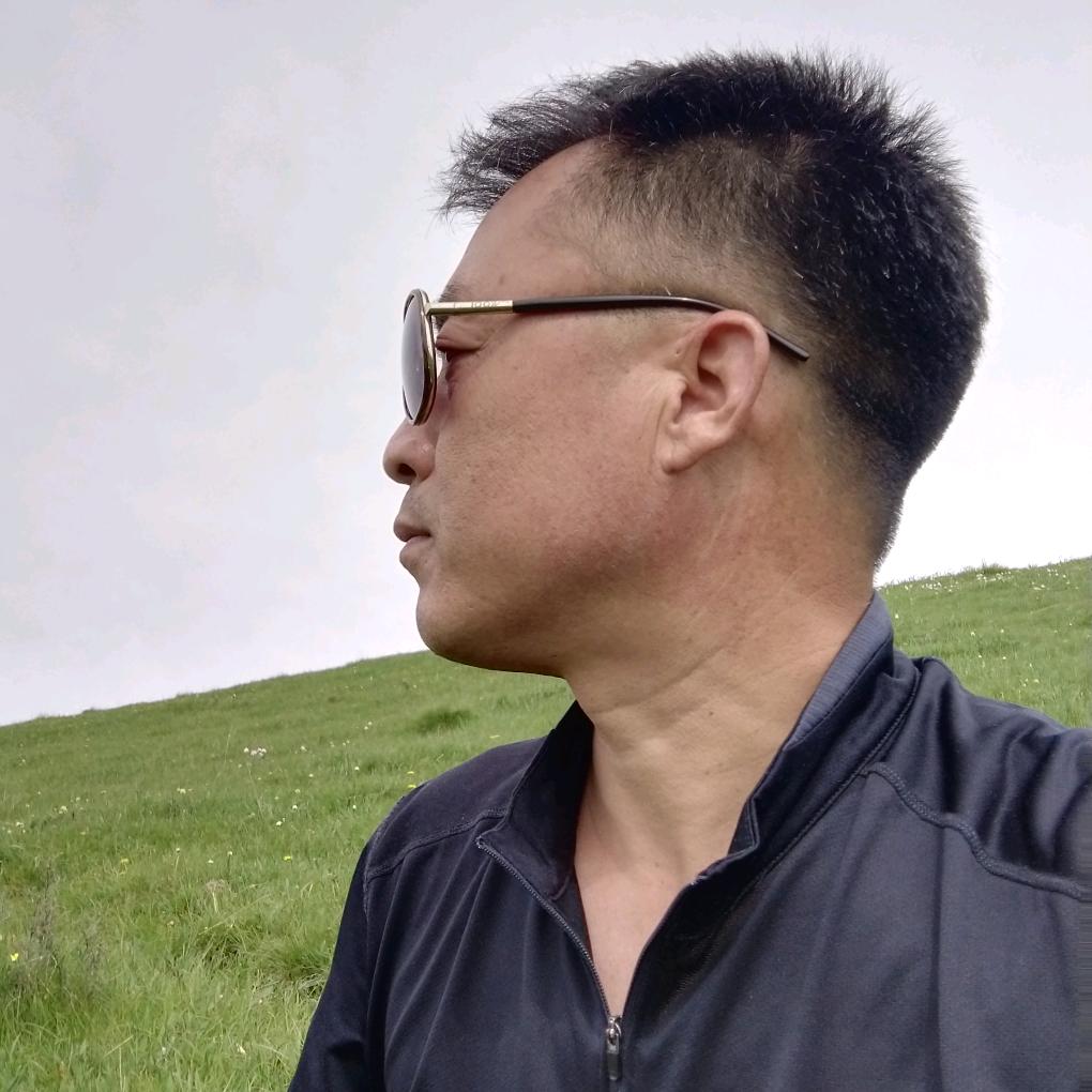 泊予苗木