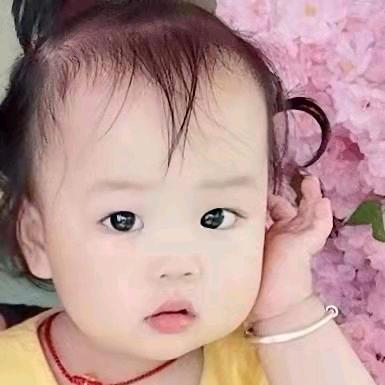 王家二小姐