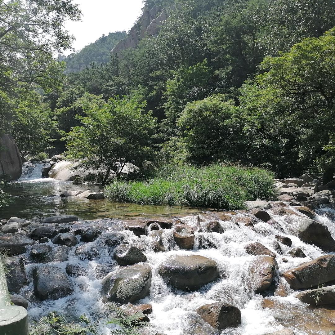 宏大32号洗姜机欢迎你