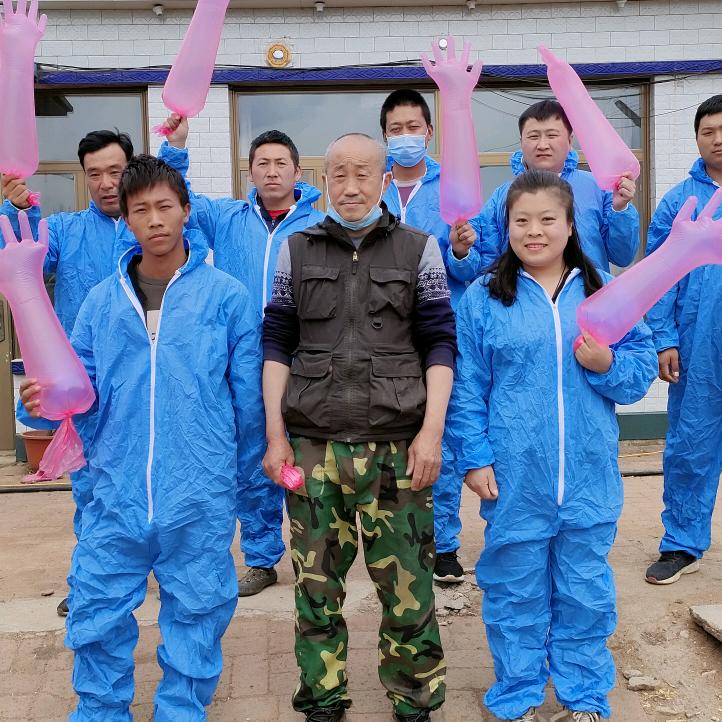 黄牛改良专业培训