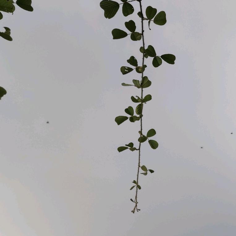 我永远是你的太阳