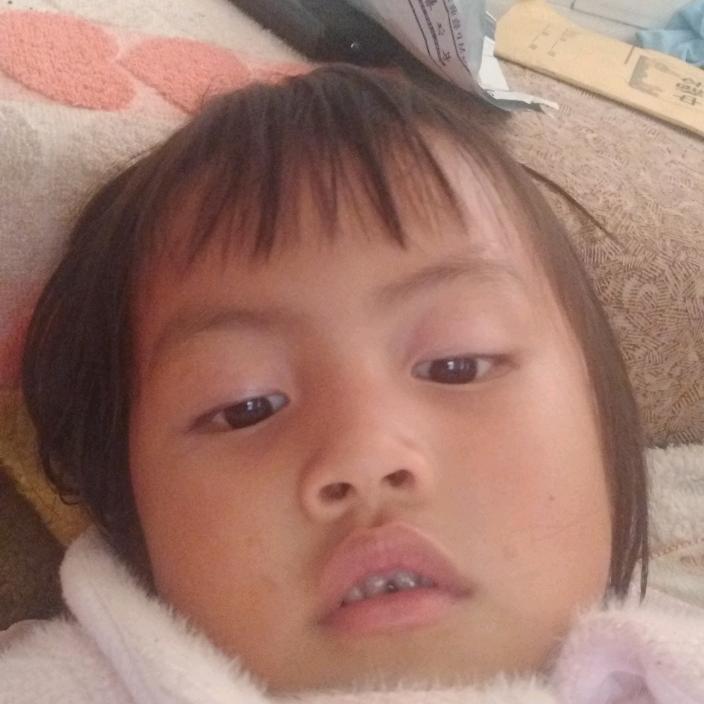 菜鱼很好.琴💛