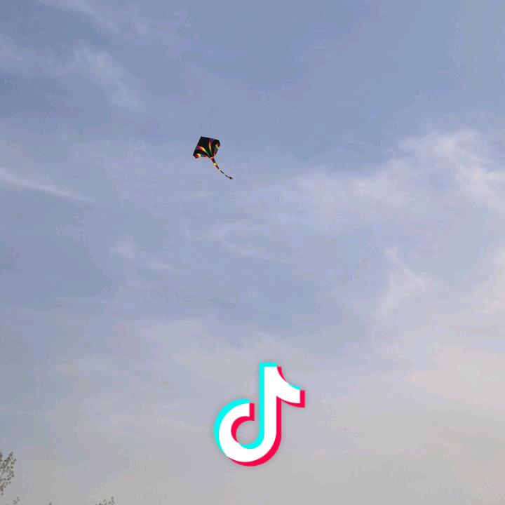 猫小喵