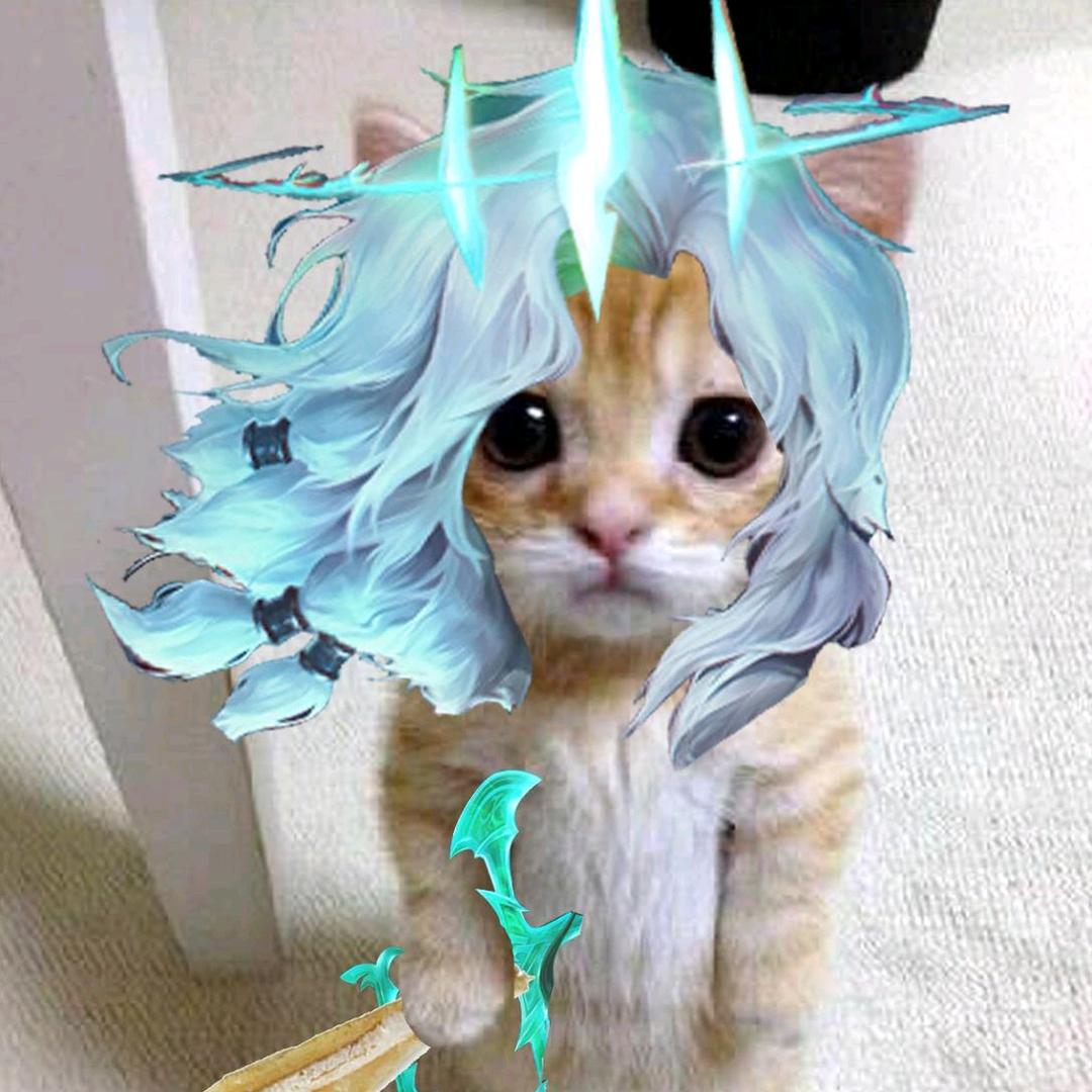 8273817