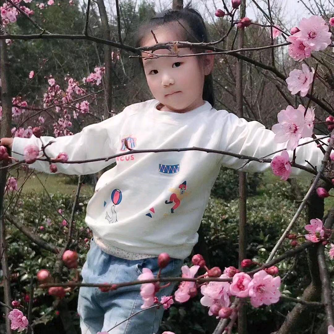 葡萄