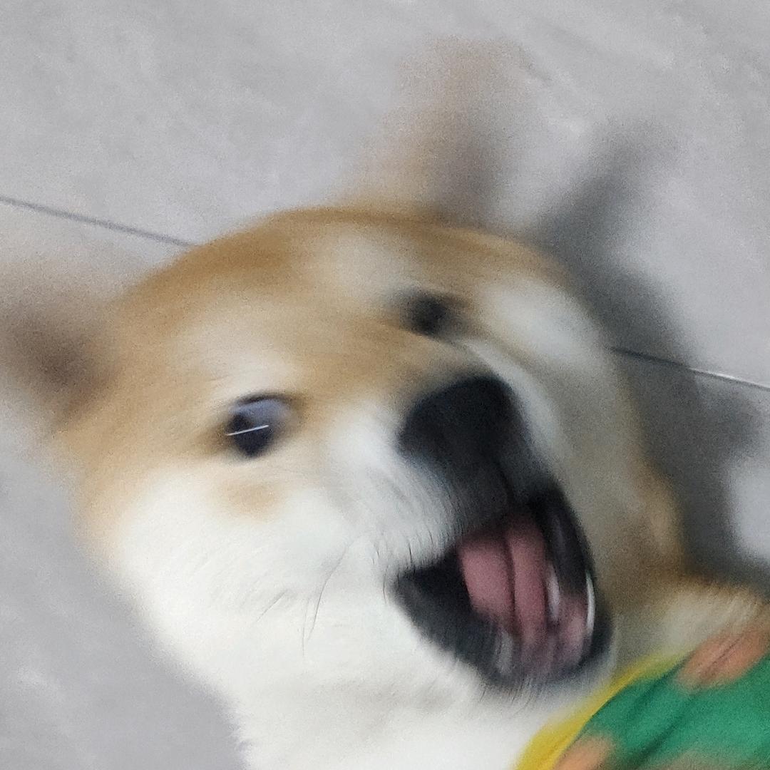 蛋堡哥🍔