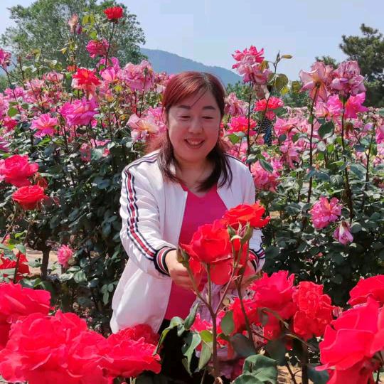 杨帆风顺