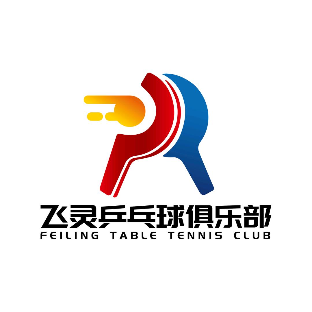 重庆市开州区飞灵乒乓