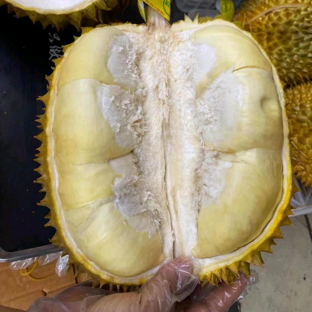 桓台县城区诚信水果店