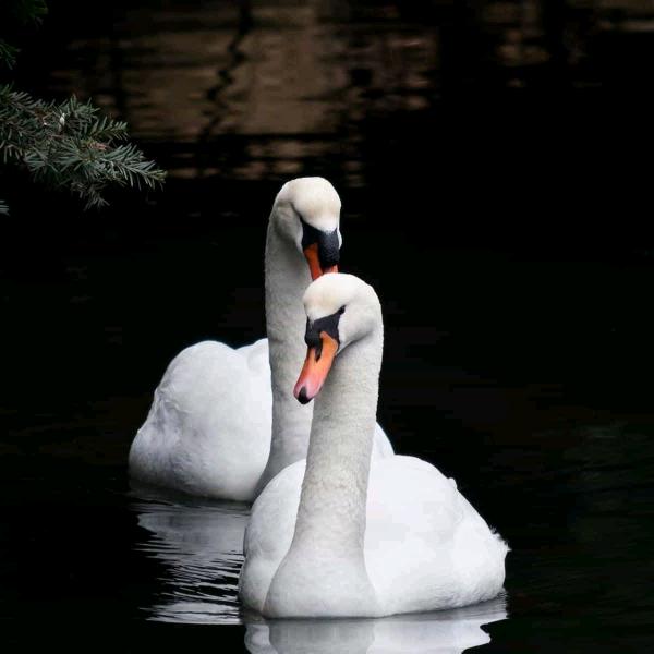 秀美，60年我，永远快乐