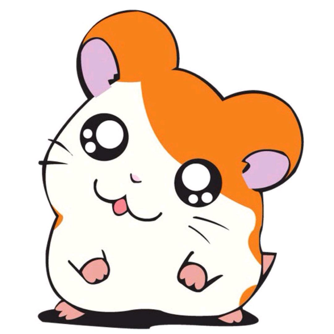 Y u