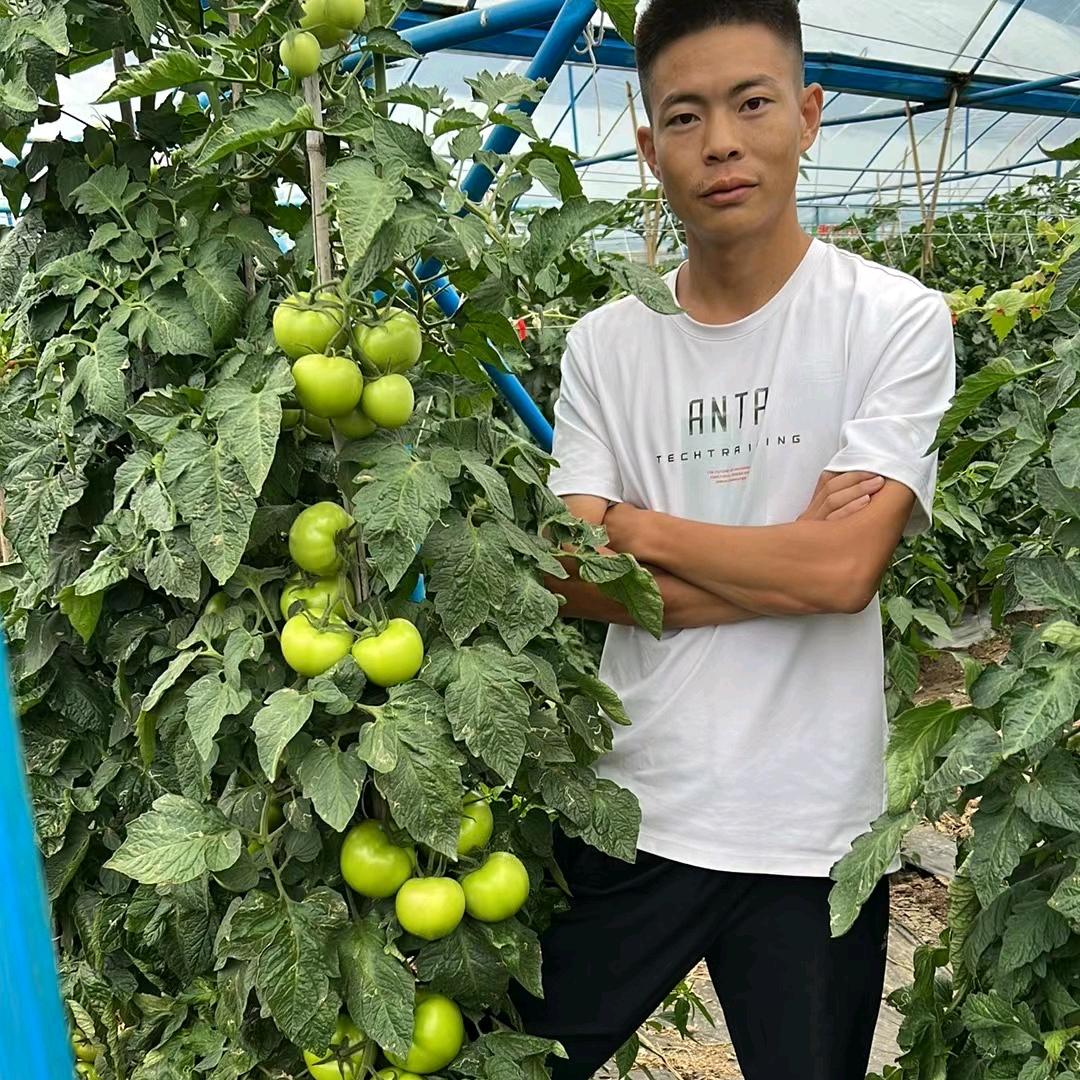 科胜邦小胡讲-番茄