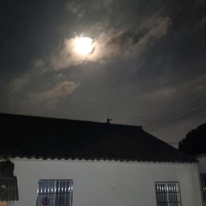 明亮的你，亮明我心