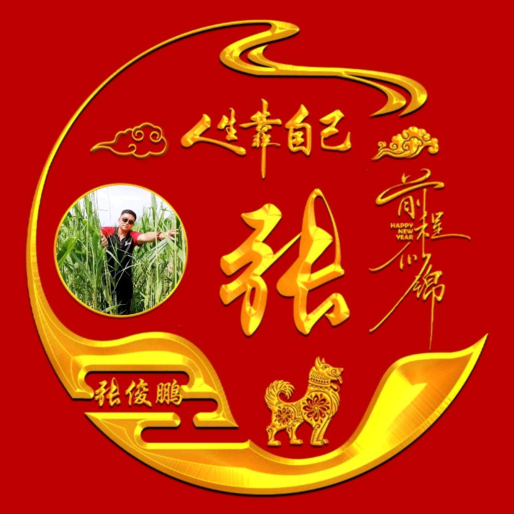 ☀️阳光依旧🌴