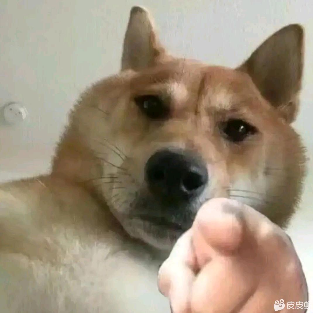 开箱怪