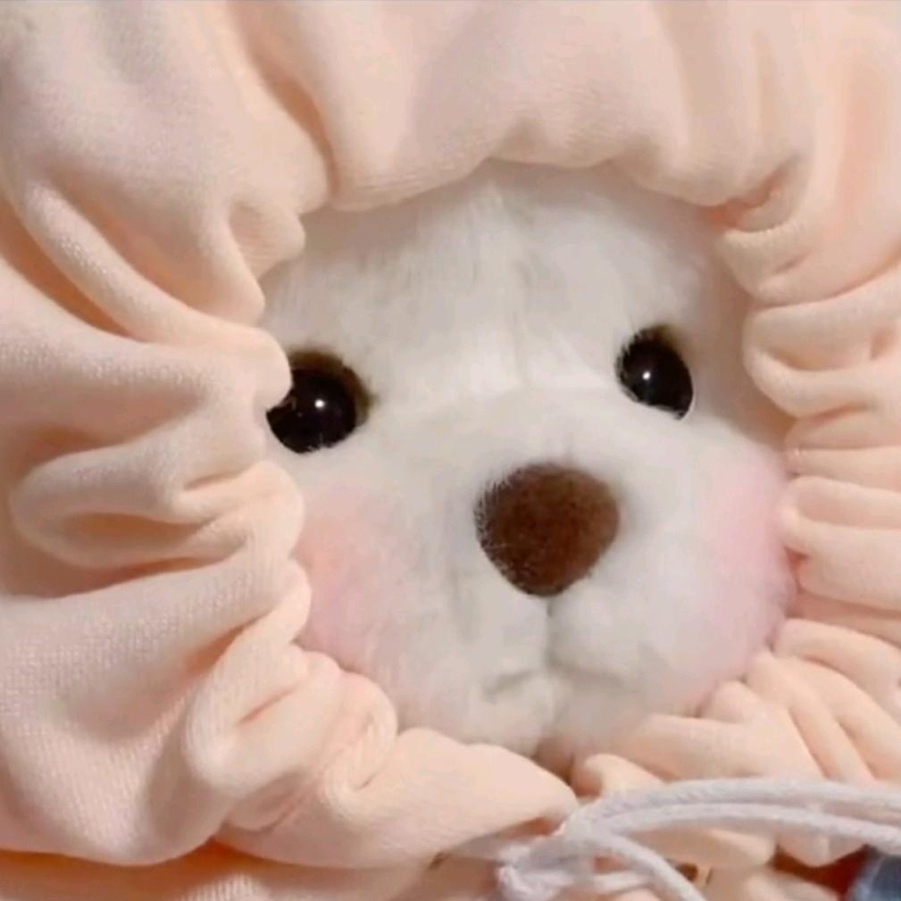 🐾