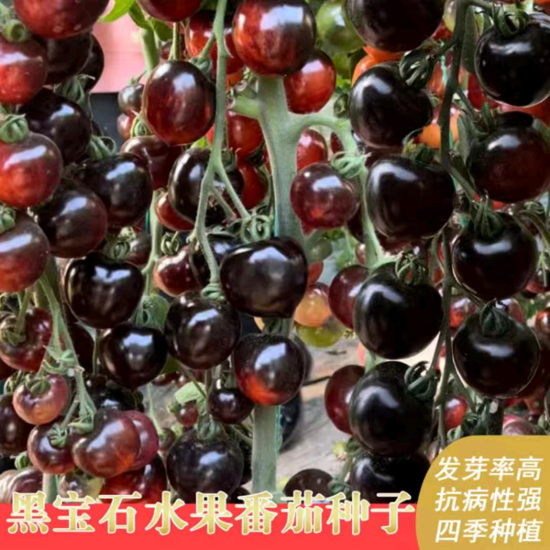 美好