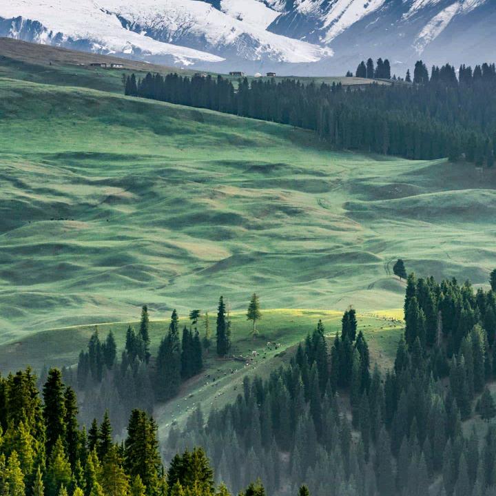 峰聚成山
