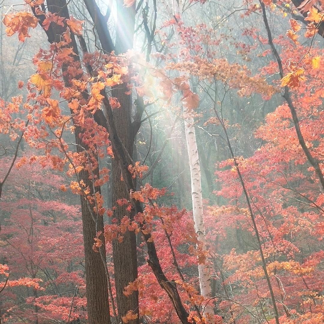 牧野淳鸣