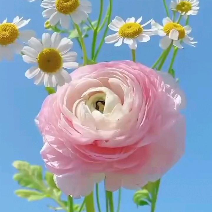 开心