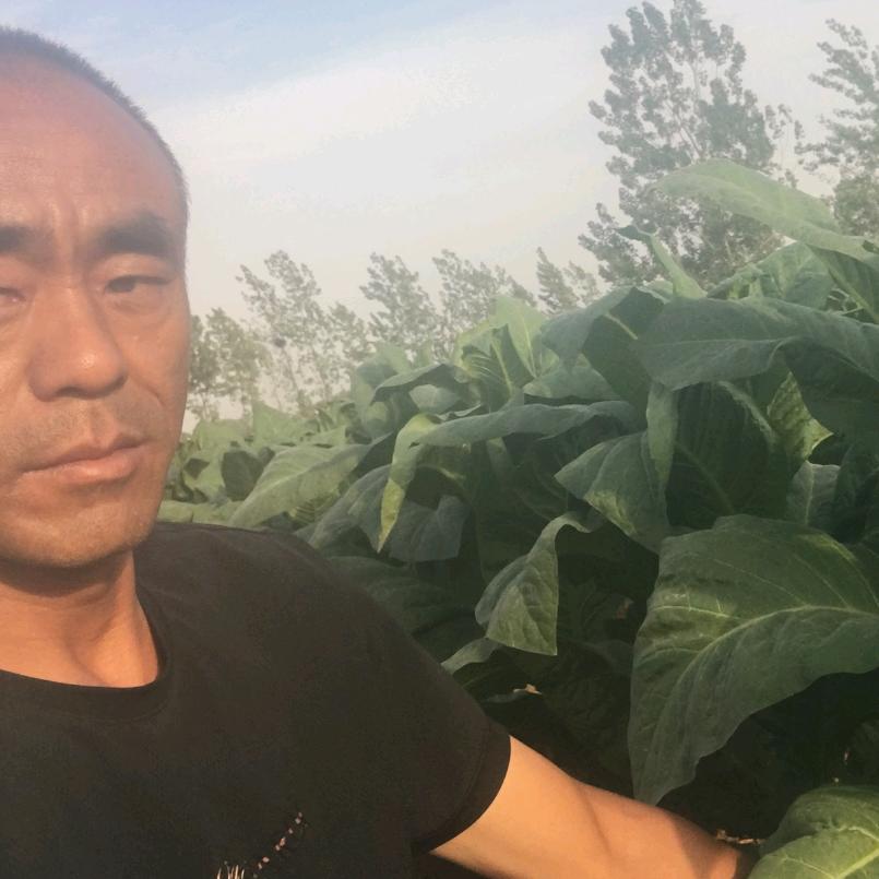 伟涛助农