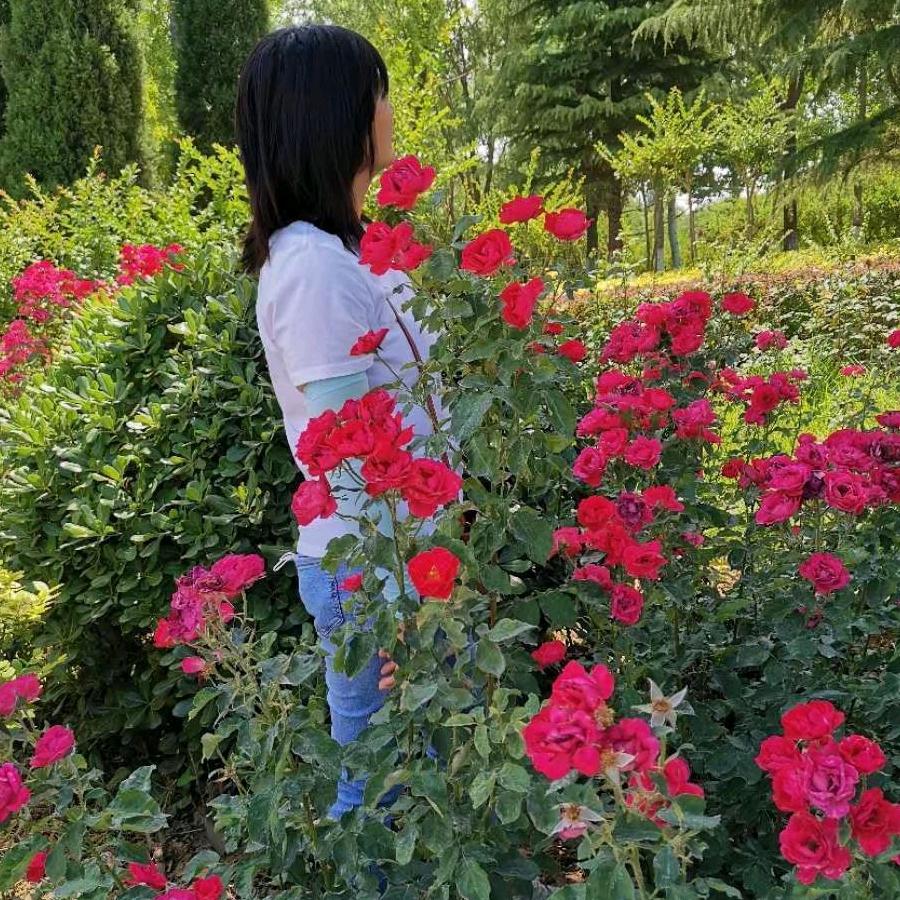 可可吖💋