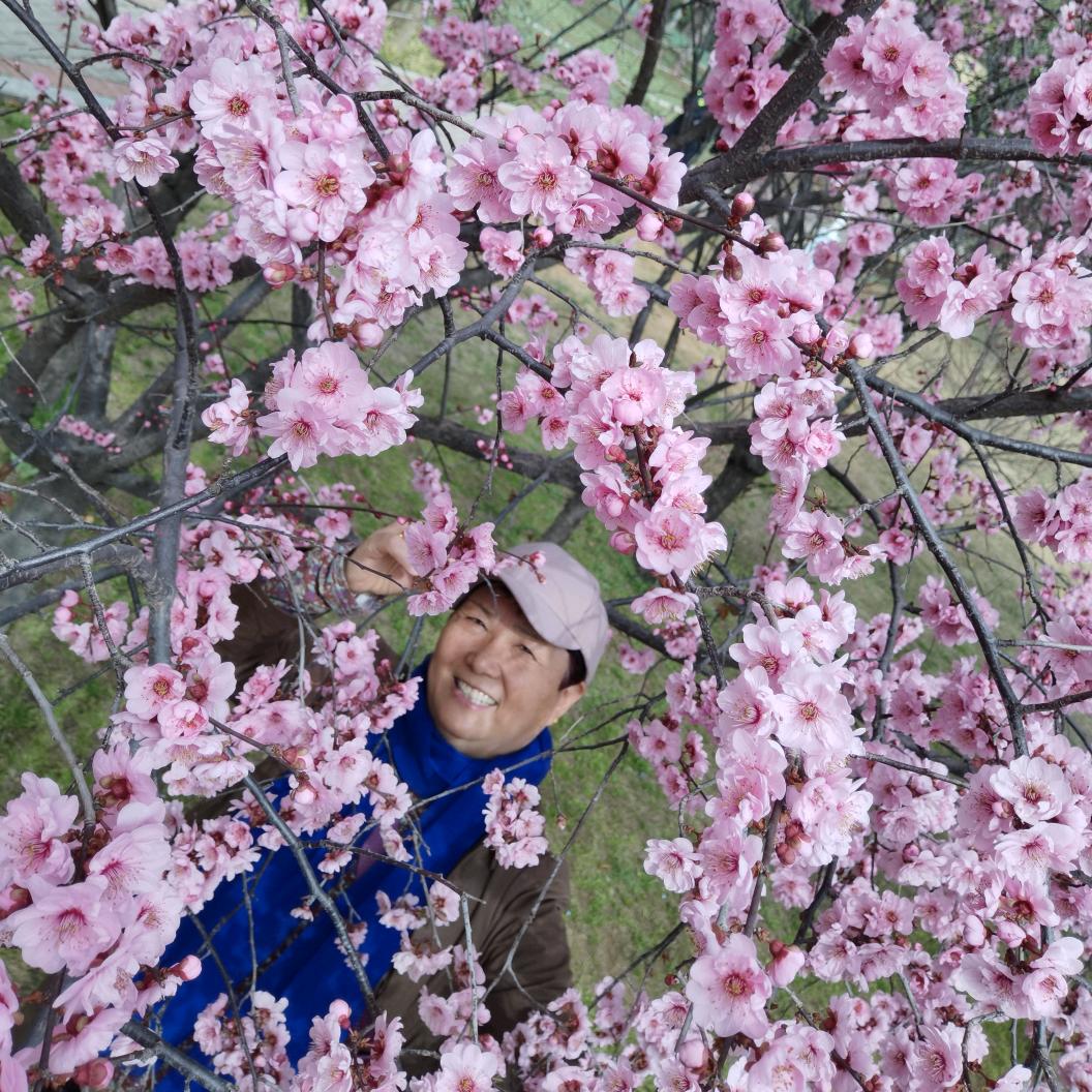 小宝姥姥