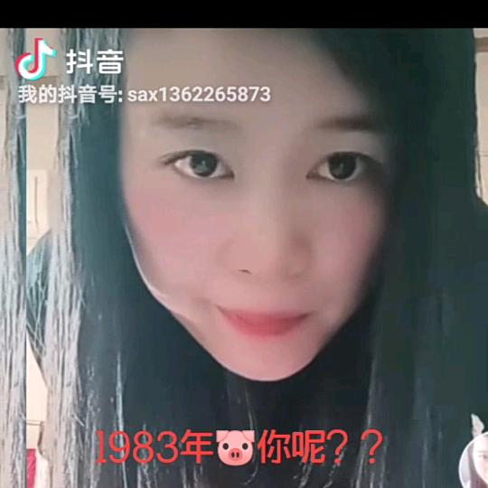幸福的猪
