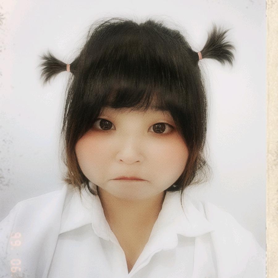 小小凤