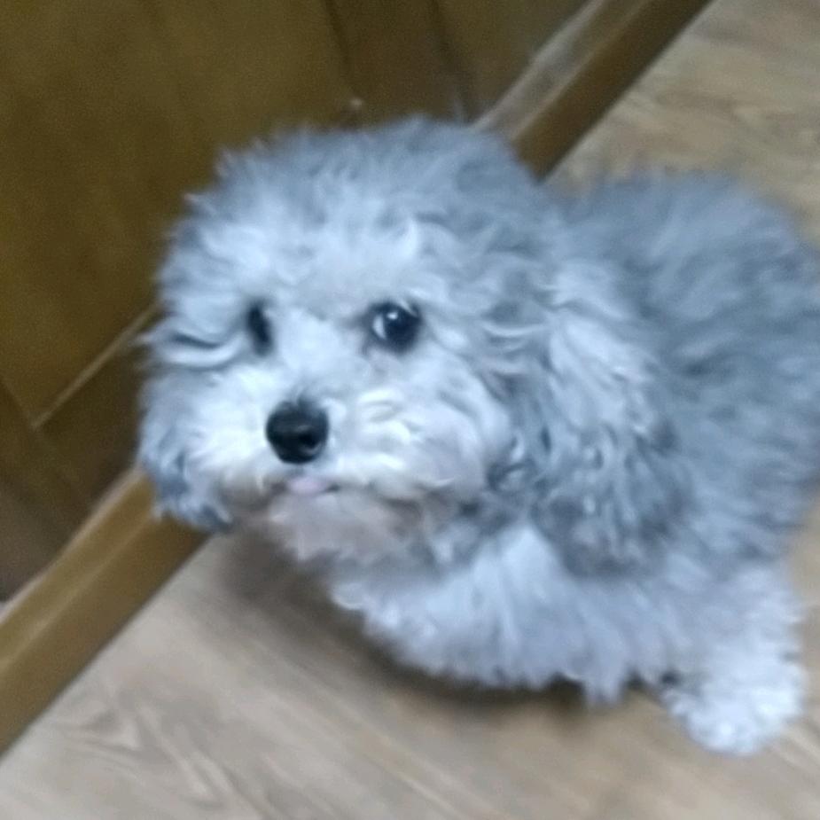 红旗飘飘。