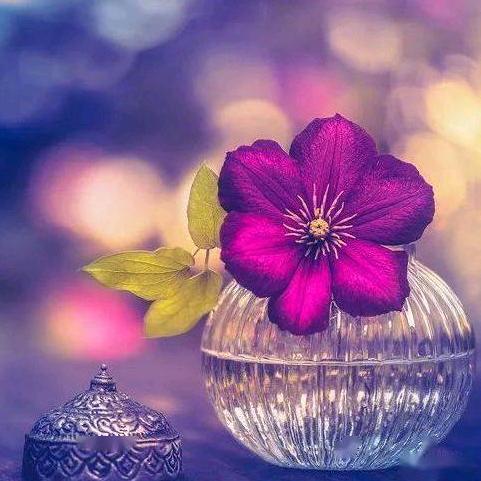 人老心∥丨不丨老心💓丨