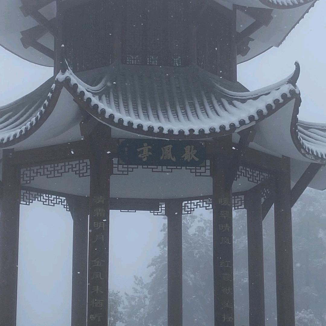 漓桔