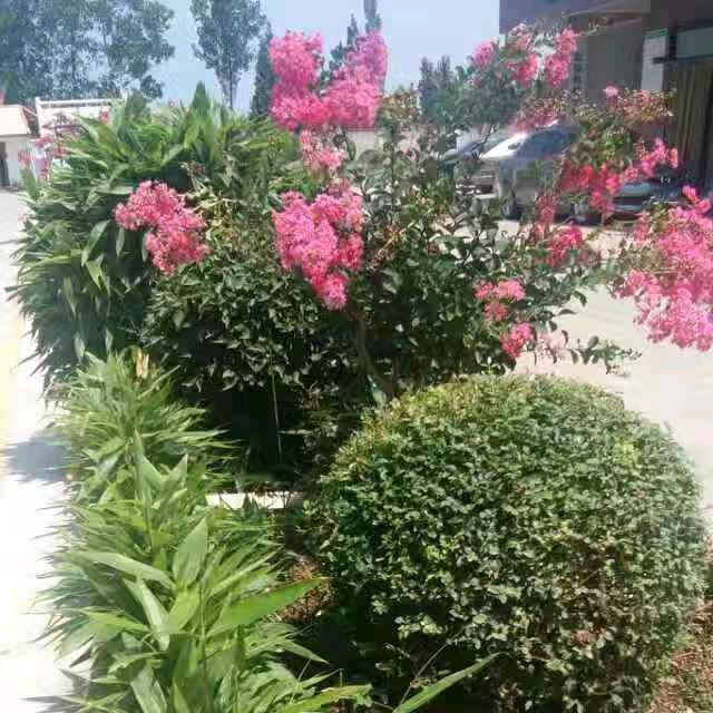政通驾校