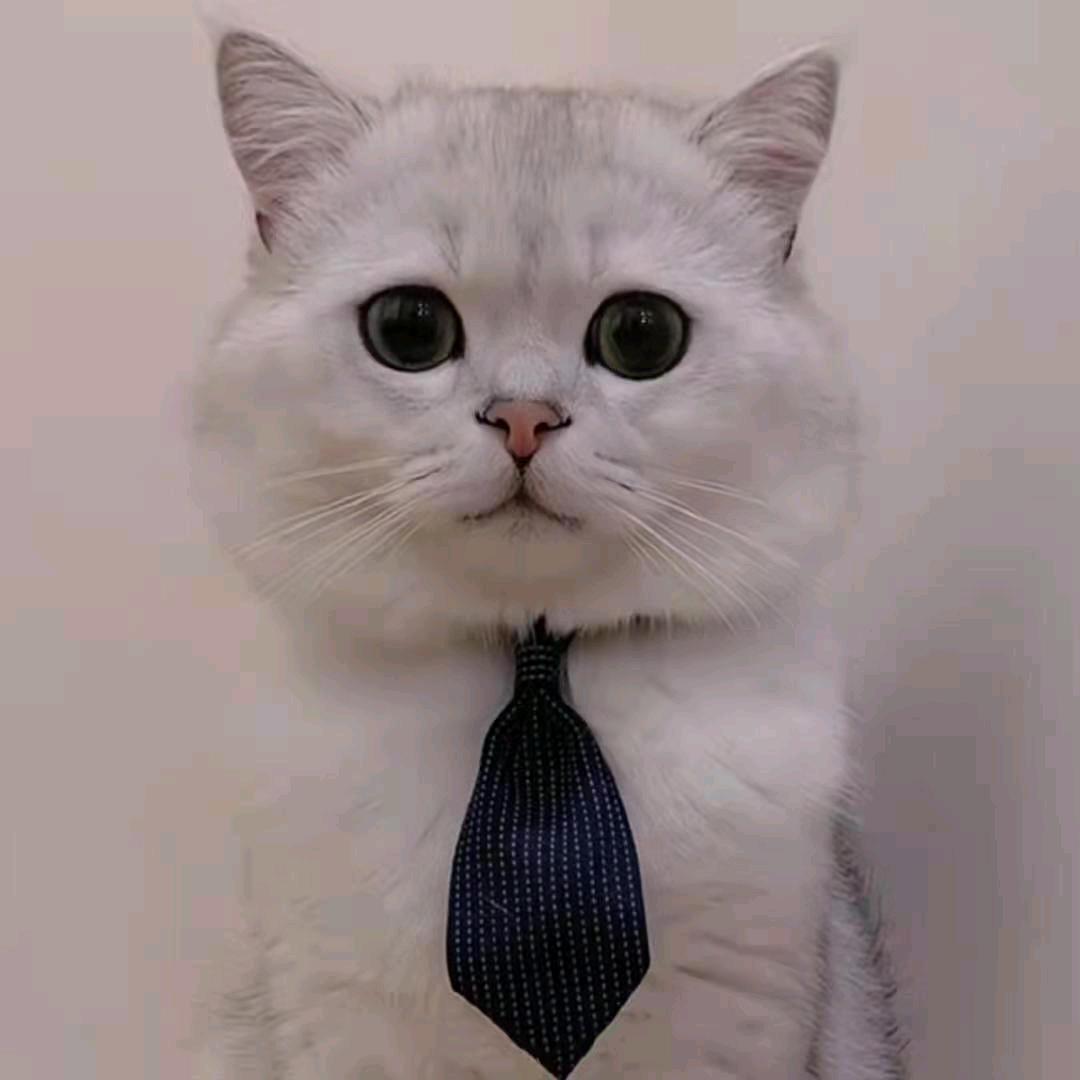 じ念晓つ