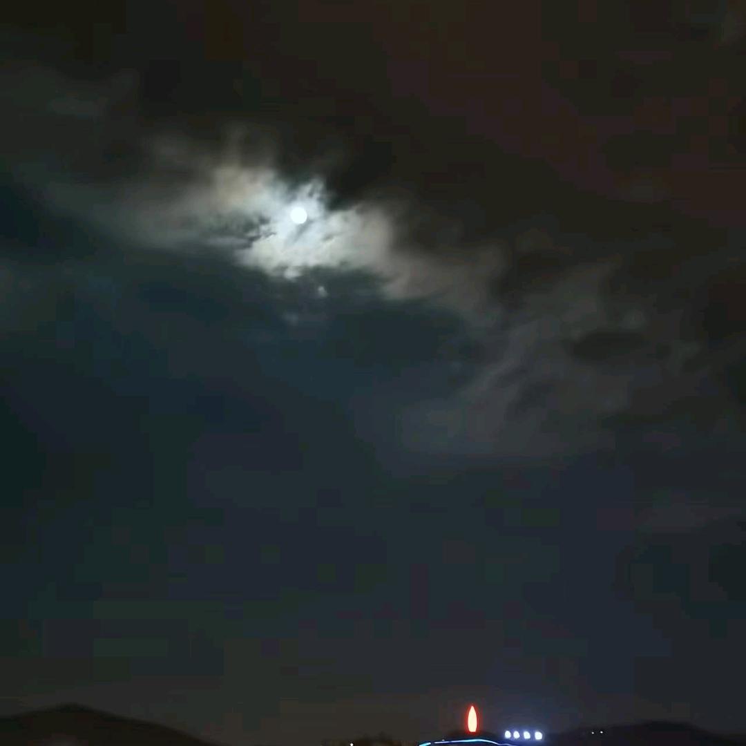 木无表情。。。