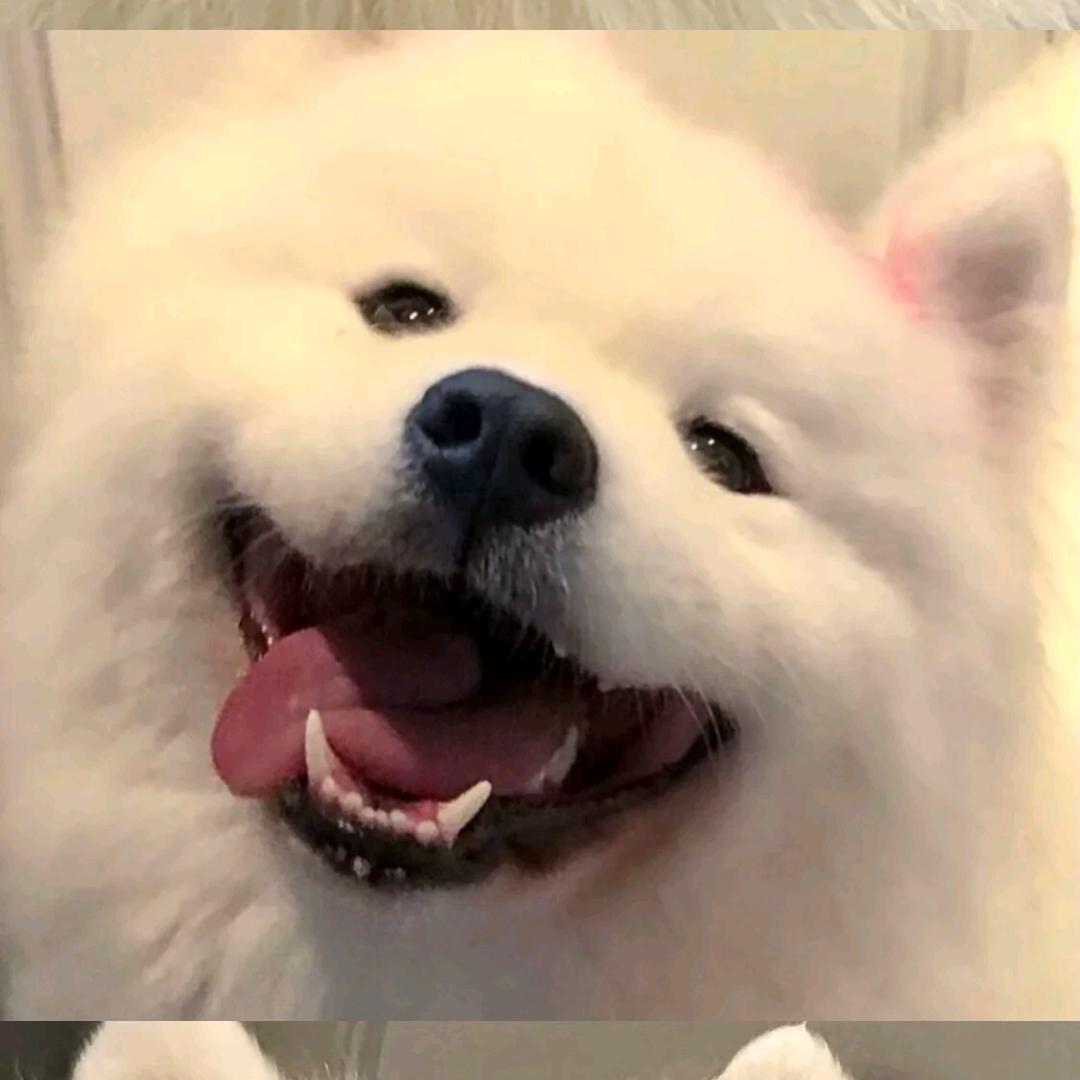 放不下你