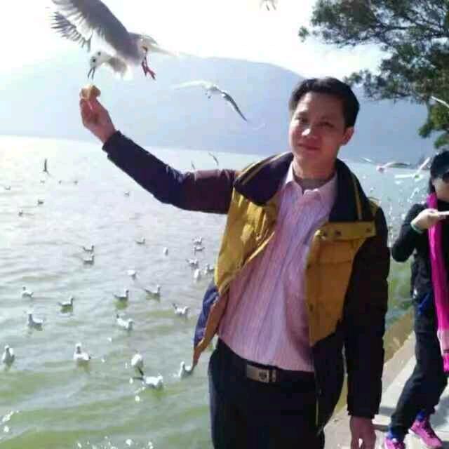 奋斗一生（陈）