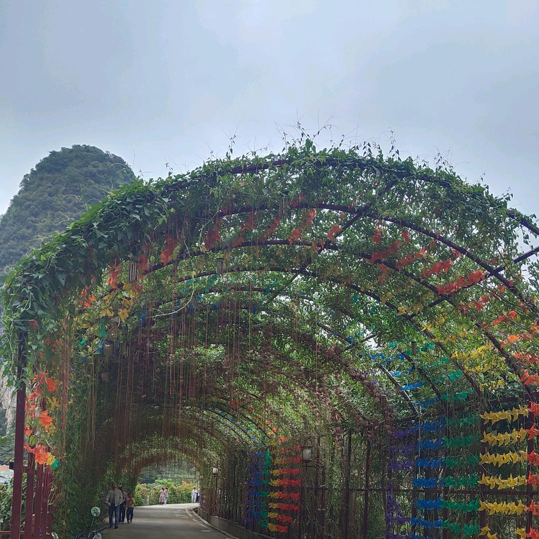 神遗落的那一抹蓝💙